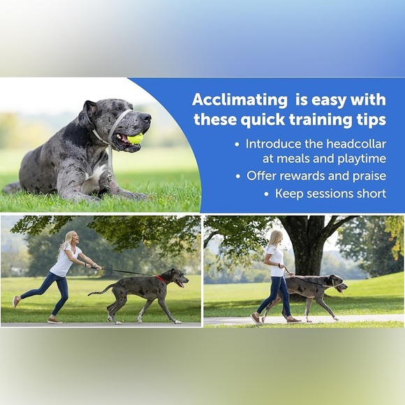 PETSAFE Gentle Leader Head Collar Stops Pulling Jumping Small up to 25lbs Black - Picture 10 of 14